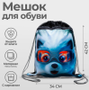 Мешок для обуви Пушистый дружок 5434607 с карманом 420 х 340 мм МСО-7С, (полиэстер, 210D)